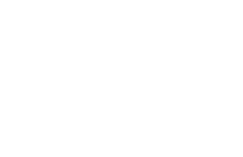 Excellence Unbounded logo